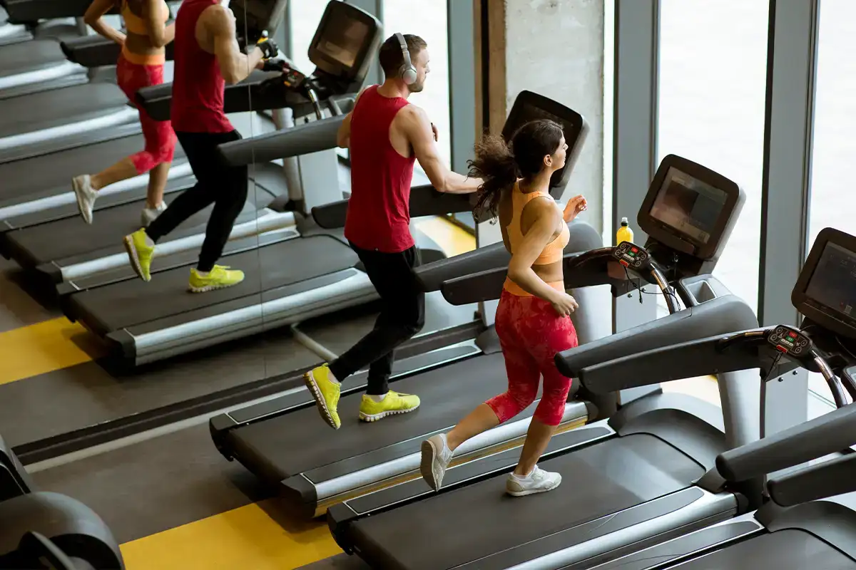 Mohan Prestige Gallery 8